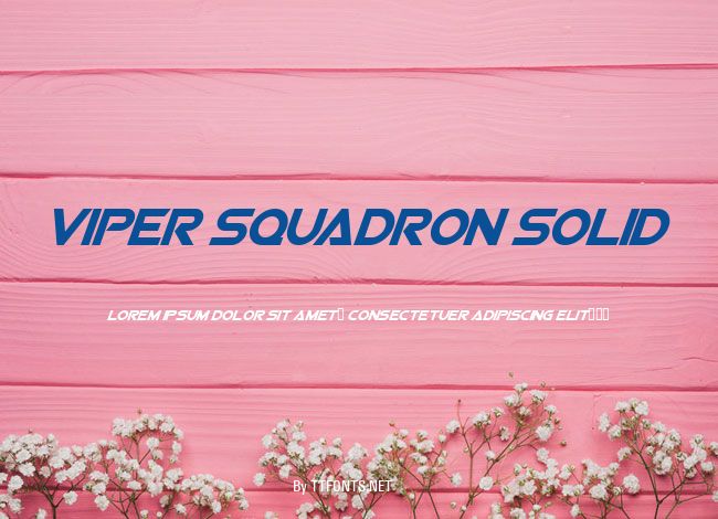 Viper Squadron Solid example